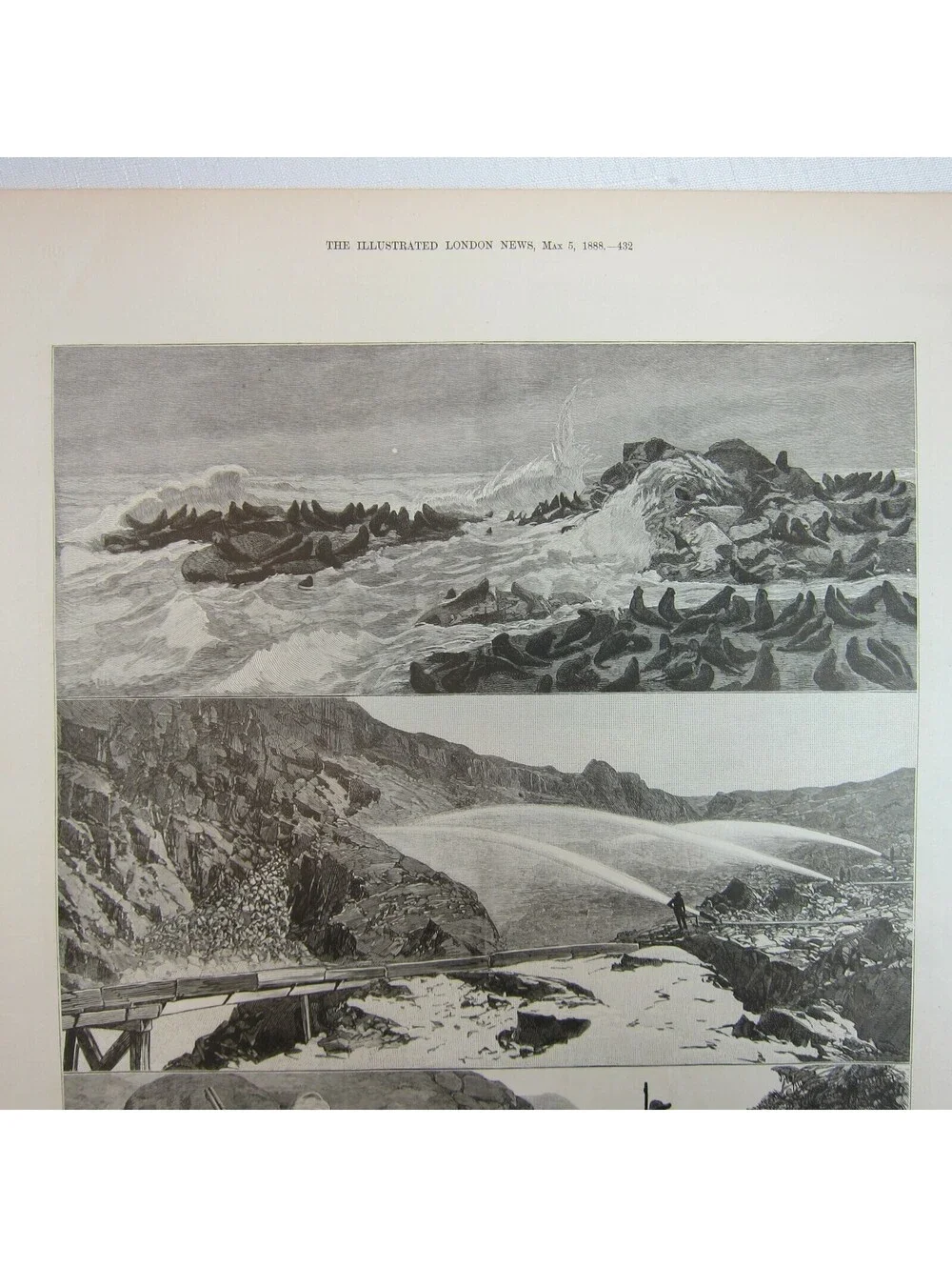 Antique 1888 Print 